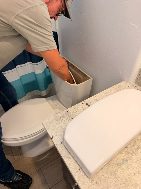 Toilet Repair and Plumbing